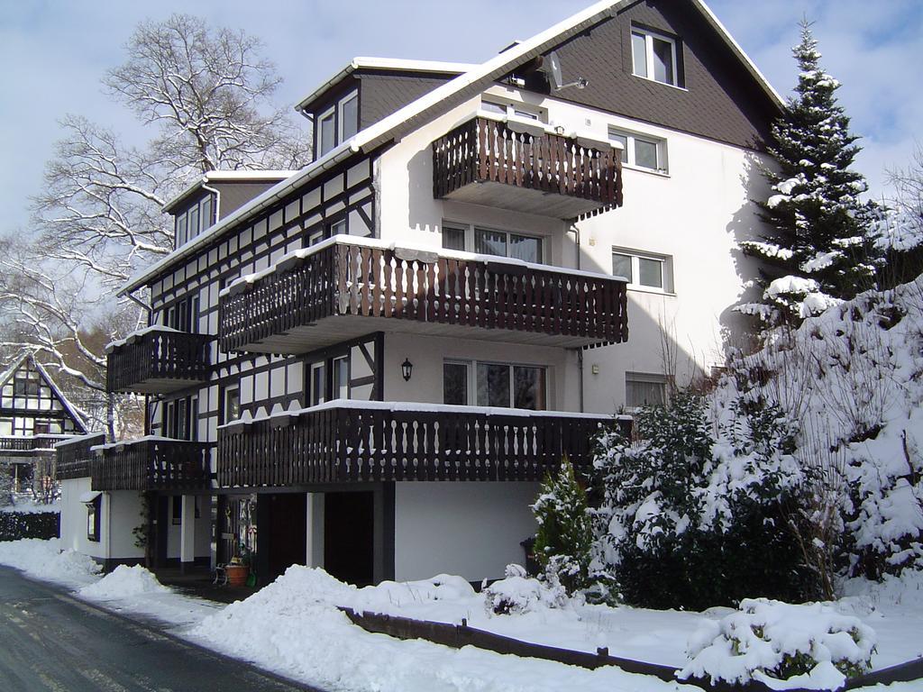 Ferienhaus Hedrich Assinghausen المظهر الخارجي الصورة