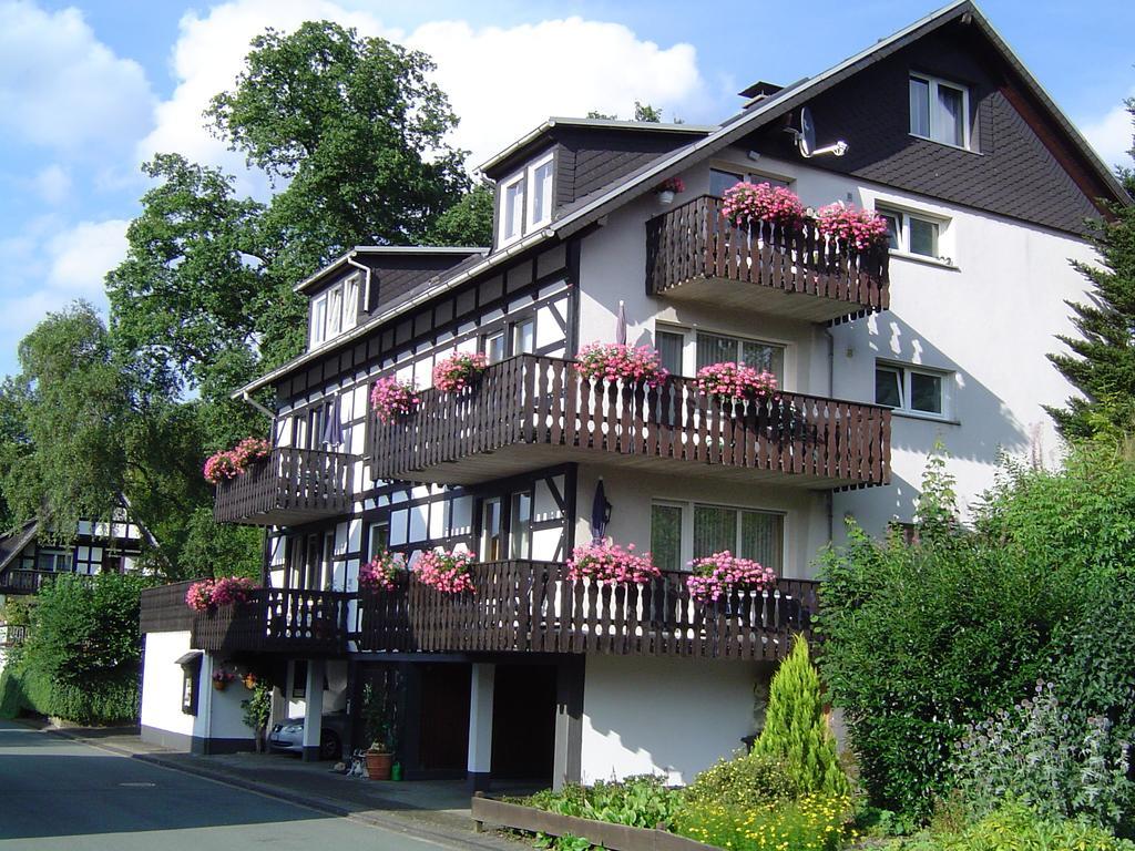 Ferienhaus Hedrich Assinghausen المظهر الخارجي الصورة